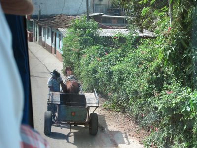Sharing the road with the bus, the bikers, and the...
